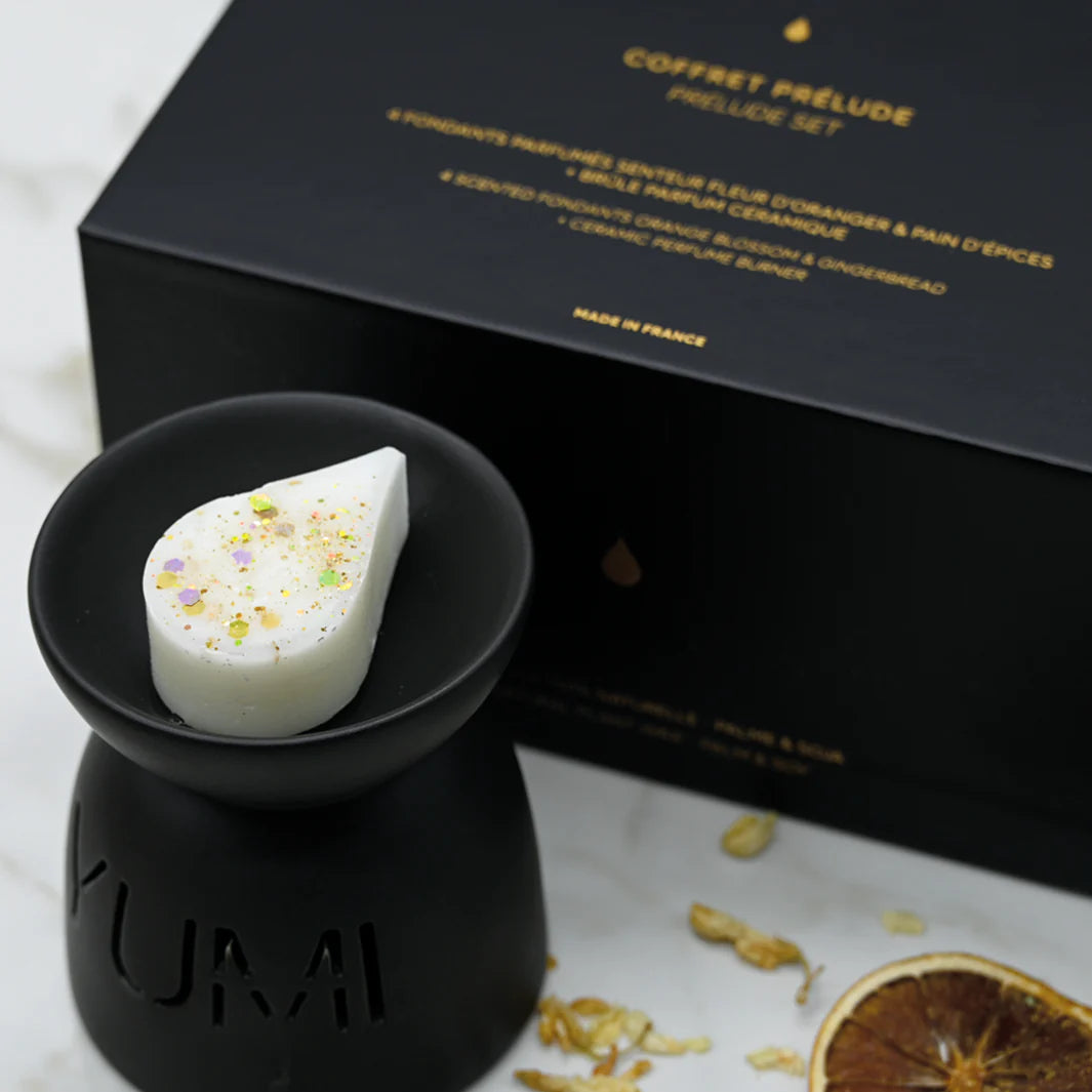 Coffret 4 fondants parfumés et mini brûle parfum - PRELUDE